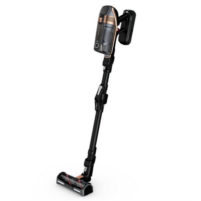 ROWENTA RH99G3   Stick