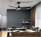 Image_b